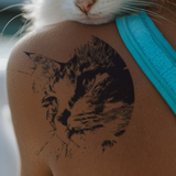 Stolzer Stubentiger Tattoo