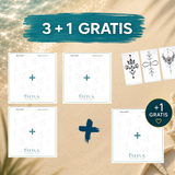 Sunshine Starter Deal (3+1)