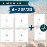 Sunshine Starter Deal (4+2)